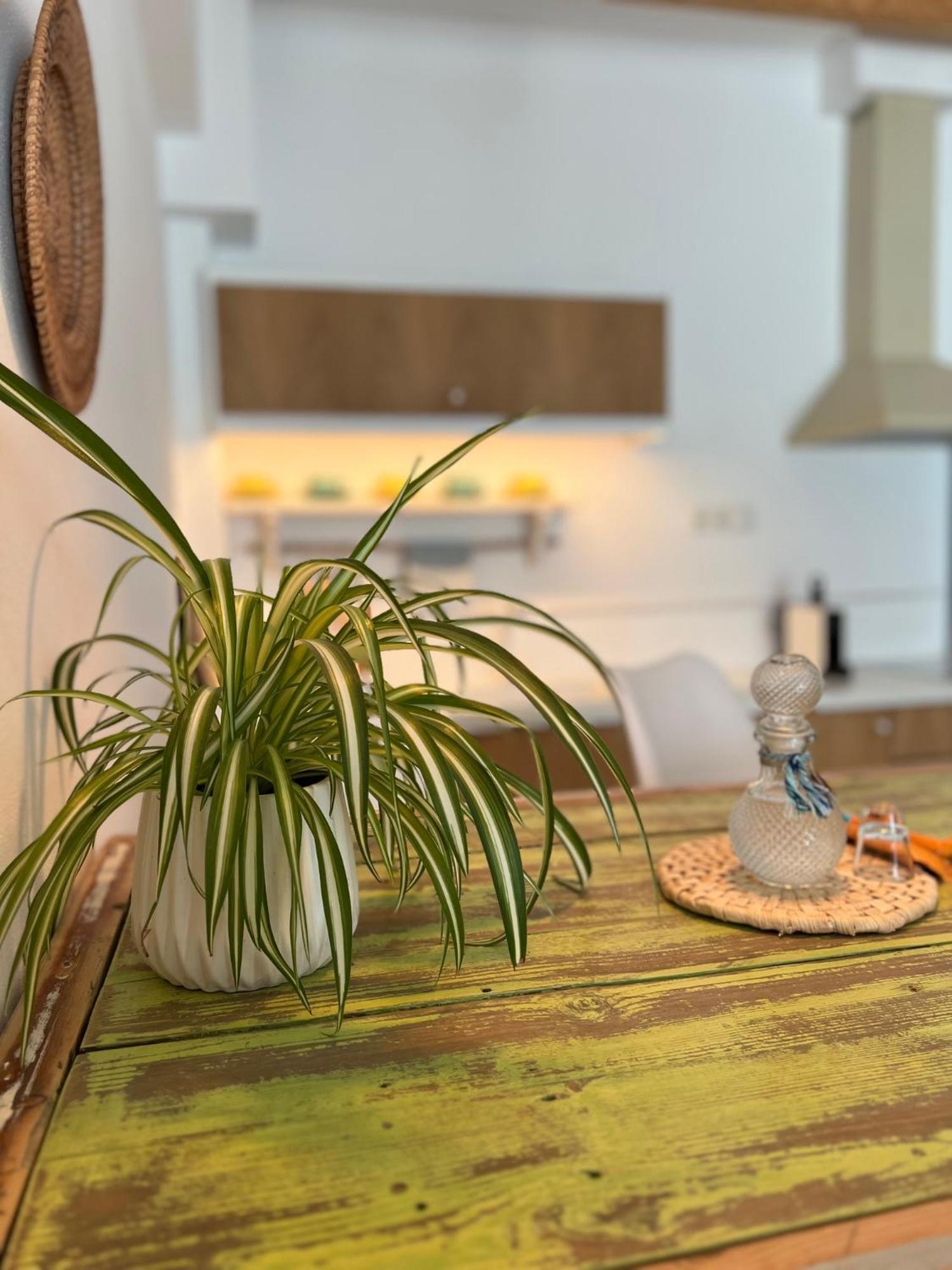 Notus Suites Plakias Esterno foto